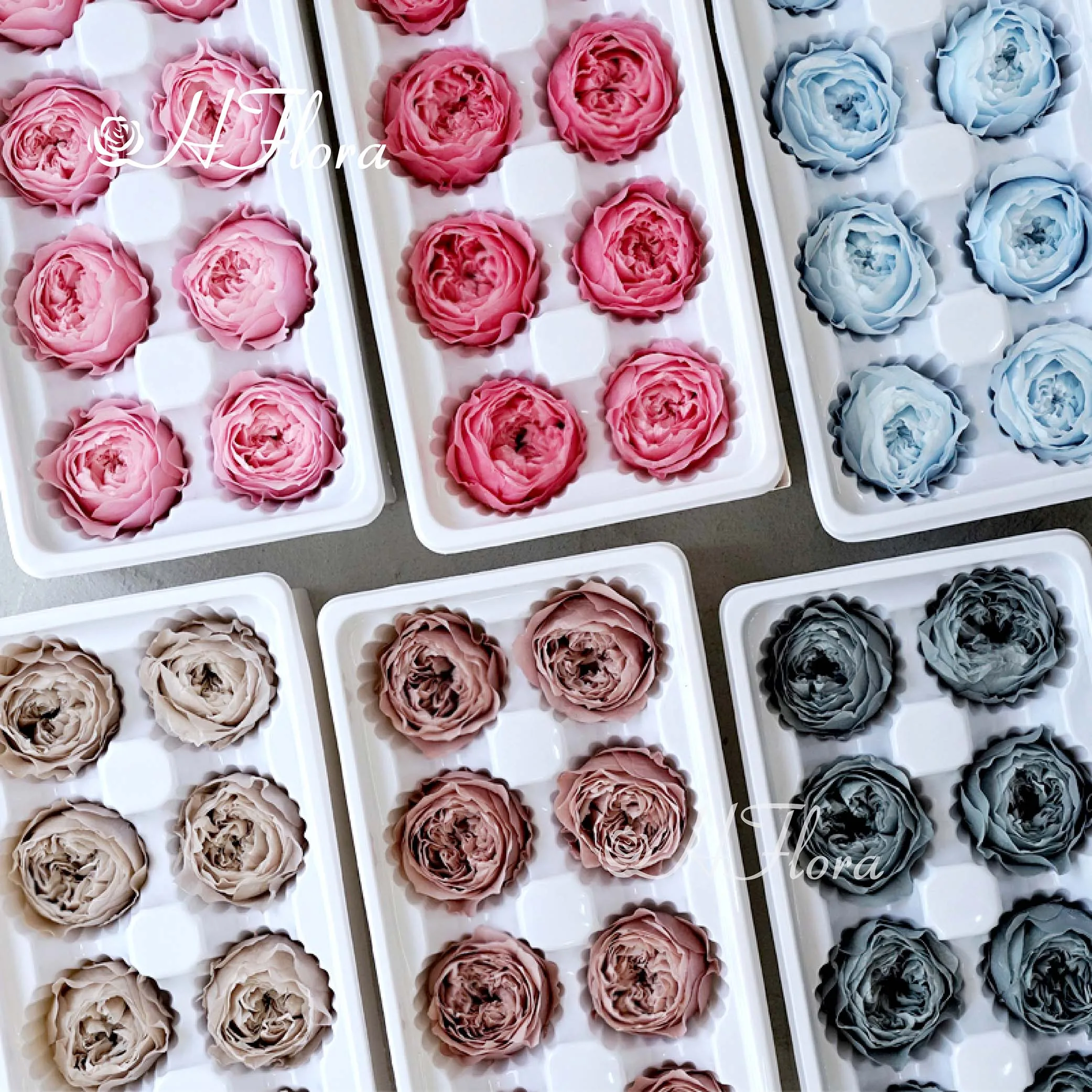 Wholesale Wedding decoration making Eternal Flower Manufacture Real Touch Peony Like Flowers 3~4cm Preserved Austin Roses Head