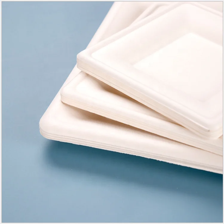 Wholesale Eco Friendly 100% Biodegradable Disposable Sugarcane Tableware Bagasse Color Dinner Plate