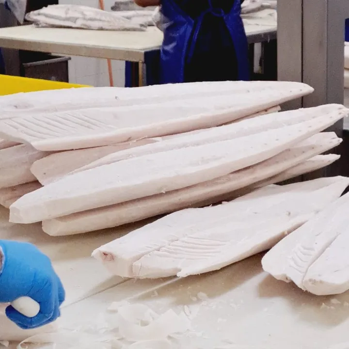 HACCP Certification Oilfish Fillet Whole Fish smooth skin rough skin Ivory Coast Bulk Packed ISO Certified Frozen Seafood