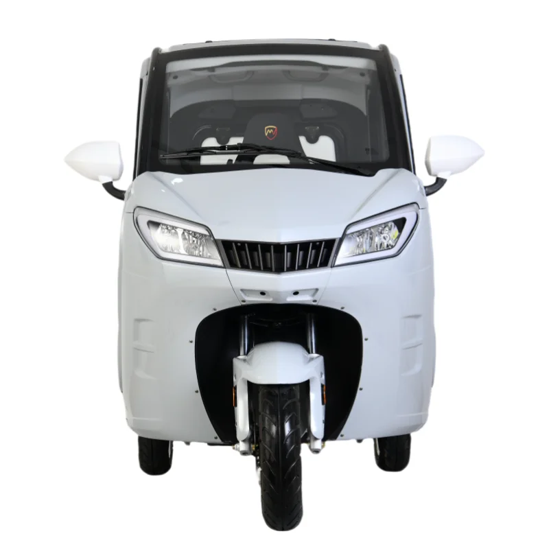 48v 800w Electric Tricycle For Adults Manned Electric Tricycles With Open Body 3-wheel Electric Vehicle