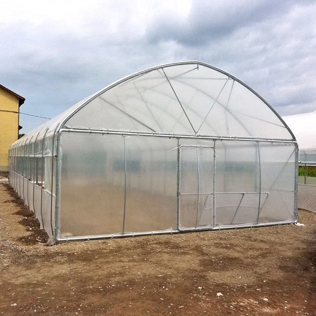 Easy install simple structure economic greenhouse PE film plastic poly film tunnel greenhouse