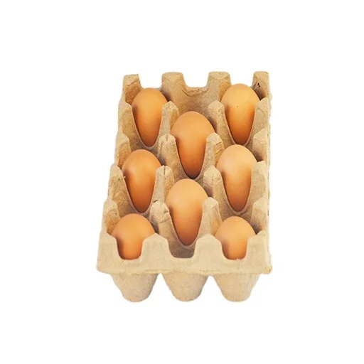 White Wholesale 15 Cells Paper Egg Carton Box plastic free pulp egg carton tray supermarket transparent