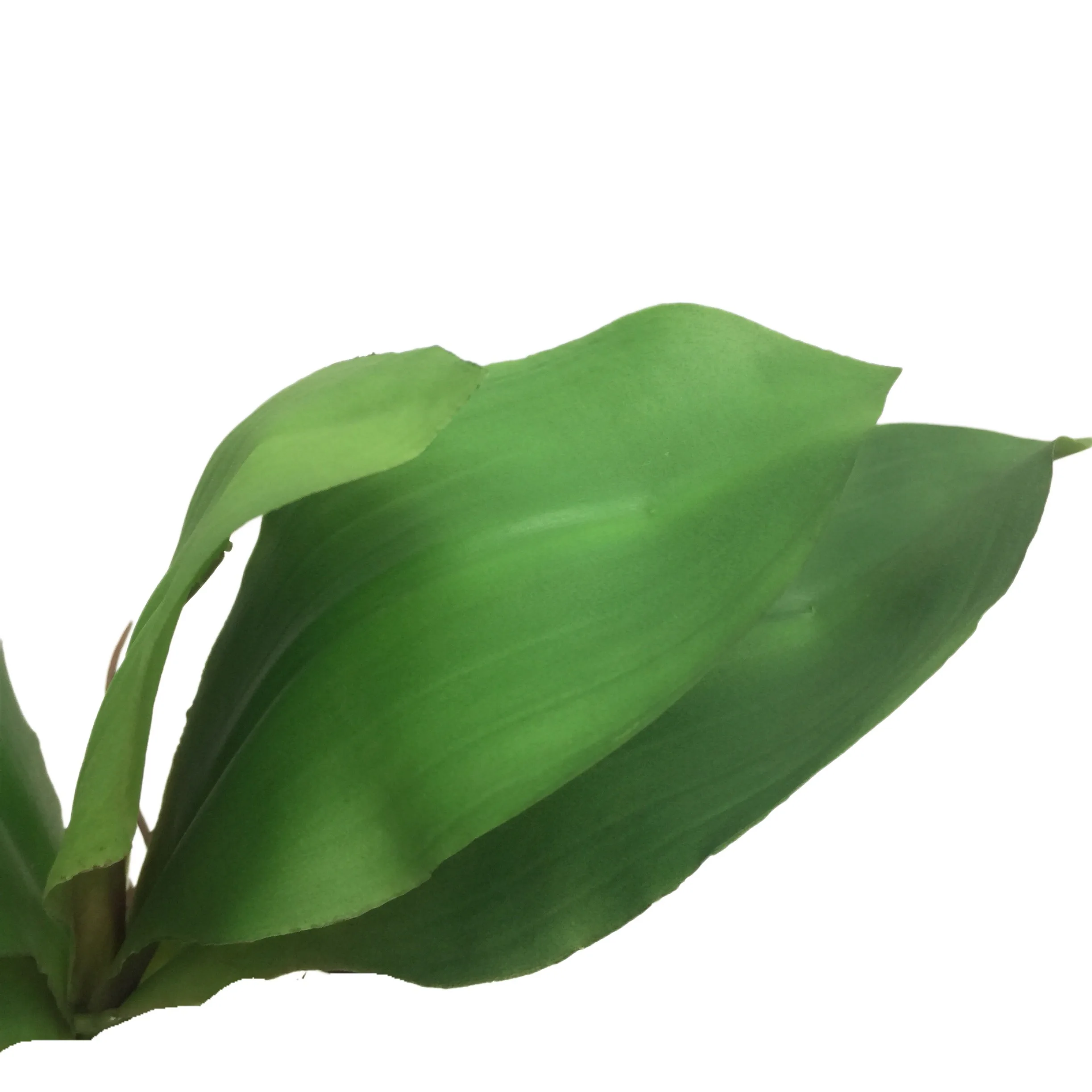 High quality 5 butterfly orchid leaves wholesale artificial leaves