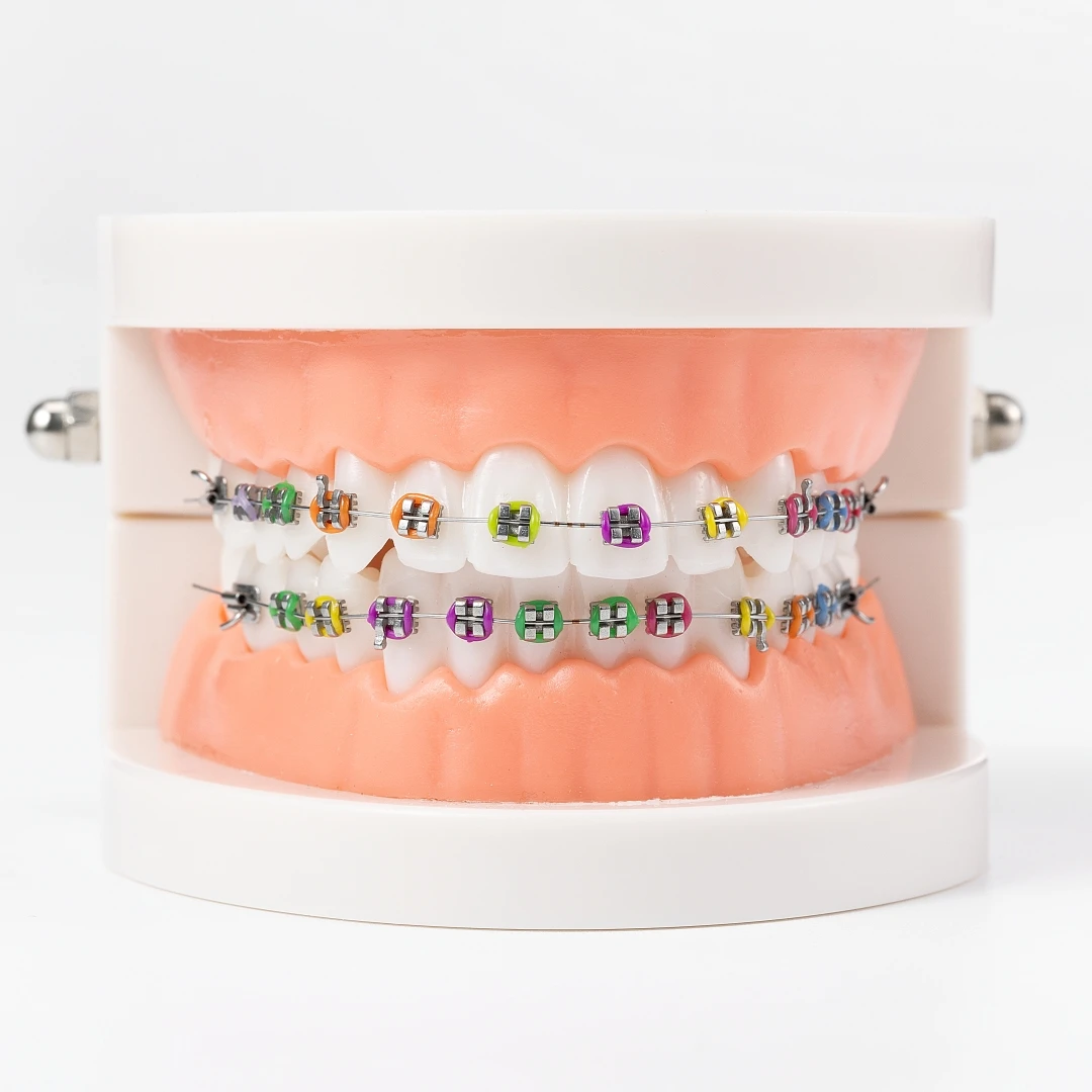 Dental Materials Elastic Orthodontic Power Chain Ortho Rubber Bands