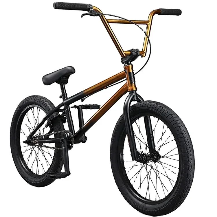bmx bike (3)