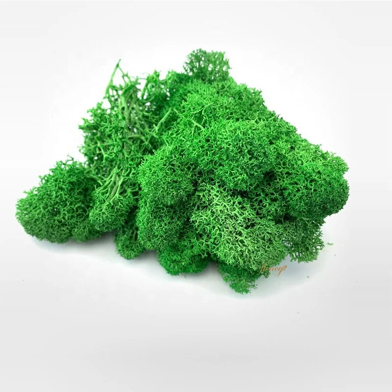 Wholesale Natural Real Green Preserved Reindeer Moss Wall Frame Decoration Stabilized Moss