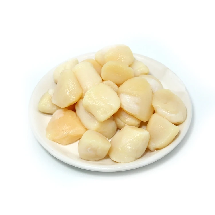 Factory Supply Attractive Price Dried Scallop Meat Scallops Column