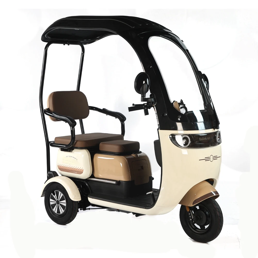 High Quality 500W Tricycle Electric Bike Long Range Electric Pedicab 3 Wheel Cargo Ebike With Roof