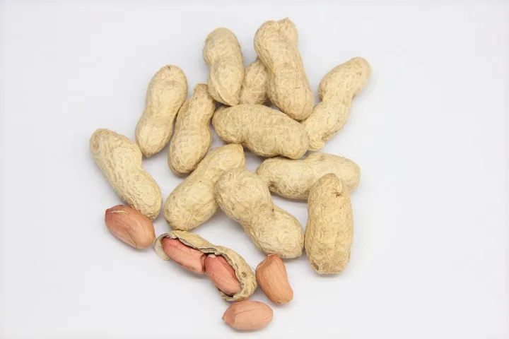 Ground Nut red skin Peanut,Raw Shelled Peanut,Fresh Peanuts