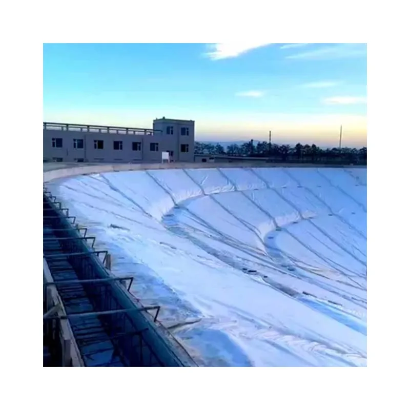 Factory Price HDPE Geomembrane 1mm 2mm Pond Liner/Dam Liner/Biodigester/Landfill Geomembranas High Quality Geotextiles for Sale