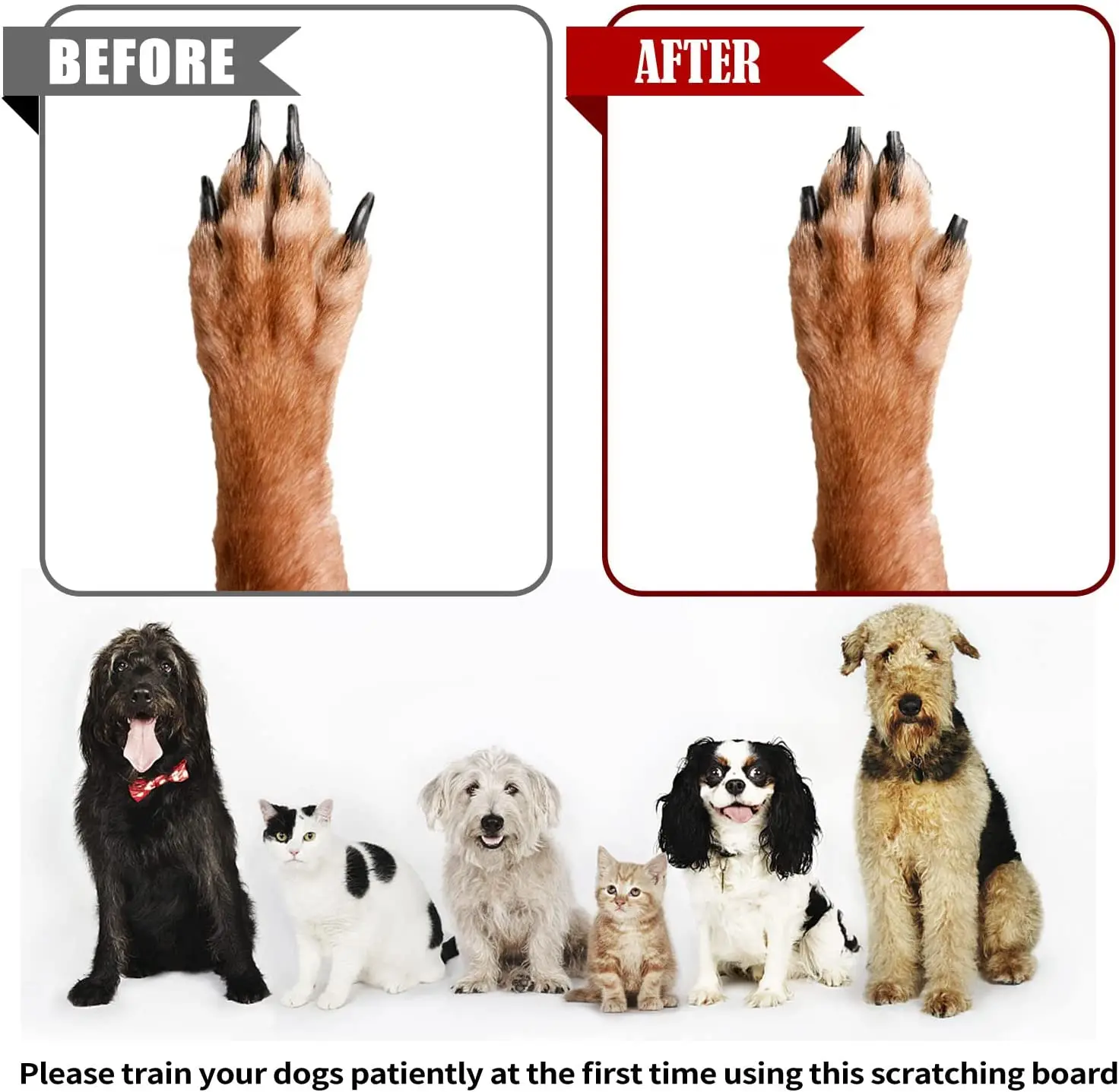 Scratchpad Sandpaper Treat Trimming Emery Dog Nail Scratch Board Scratcher Pad With Storage Drawer For Small Medium Dogs