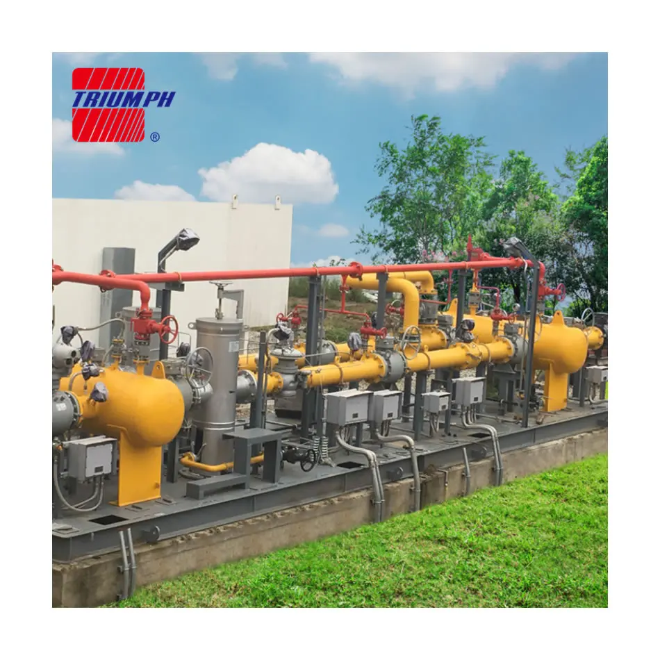 LNG Gasification&heating&pressure regulating&orodizing skid
