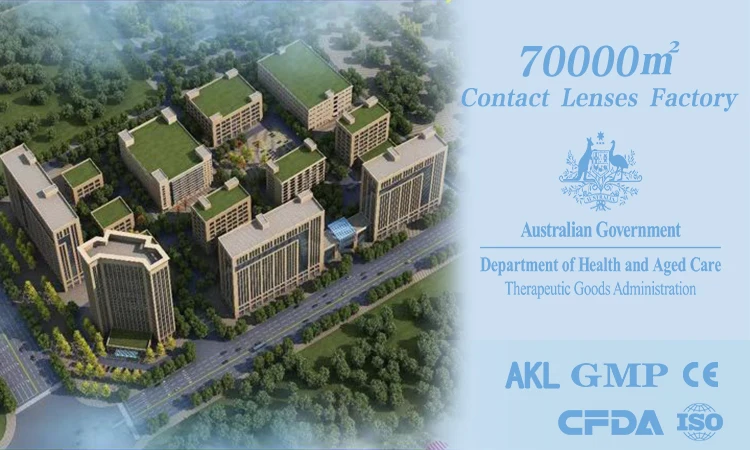 OEM Freshlady Yearly Monthly 12 Colors Contact Lenses Logo Clear Contact Lenses Custom Logo Natural Eye Color Contact Lens