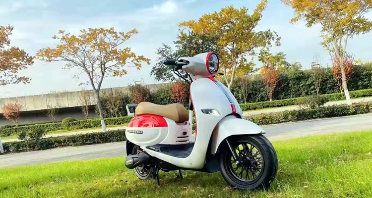 Electric Scooter Adult Electric Motorcycle Scooter