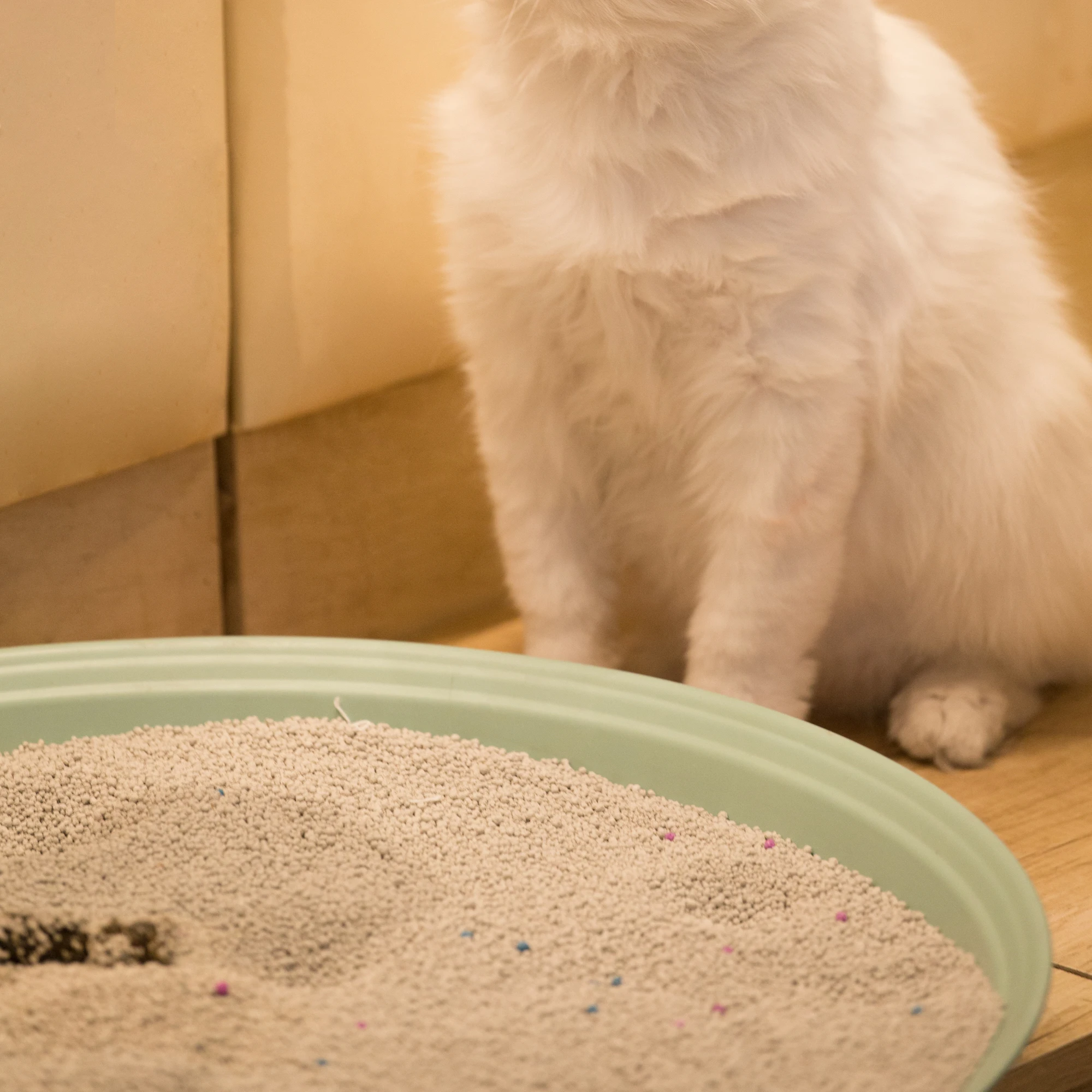 Factory Supply High Quality Strong Agglomeration And Deodorization ball shape Bentonite Cat Litter