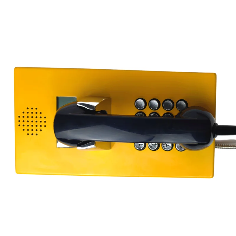 Cost Save Public Telephone Prison For Phone Hospital Phone VoIP With LCD Display