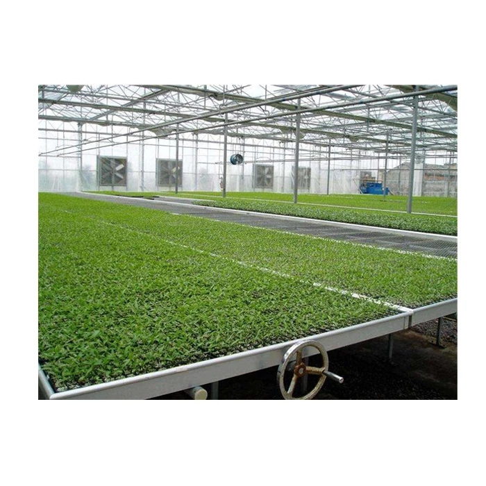 Agriculture rolling bench seedling bed