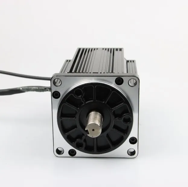  310v 750w 1kw 1.5kw 2kw 110 мм BLDC мотор 3000 об/мин с бесщеточным двигателем постоянного тока для промышленной