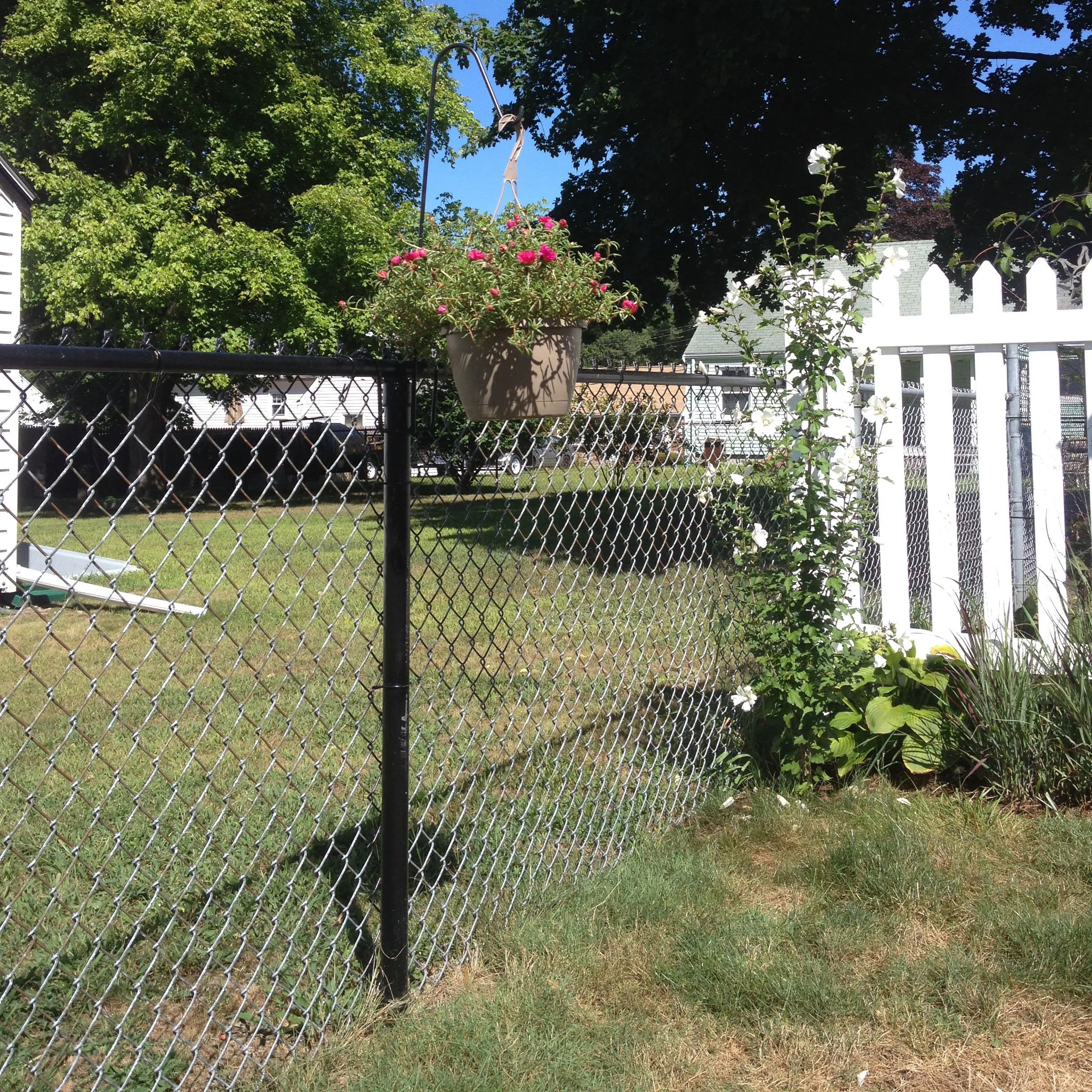 Chain Link Fence Iron Galvanized Heavy Duty Electric Hot Dopped Galvanized Black Plastic coated Chain Link Fence for Sale