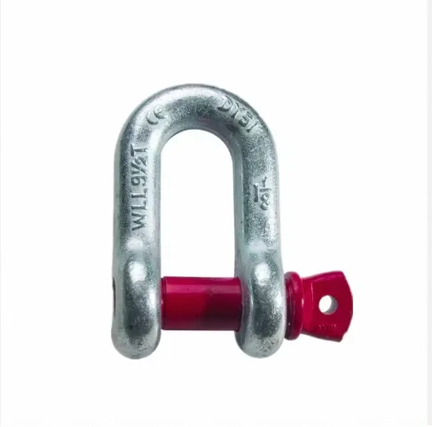 G210 Standard Dee U Shackle Screw Pin Type D Shackle Stainless Steel U or D Shaped Shackle