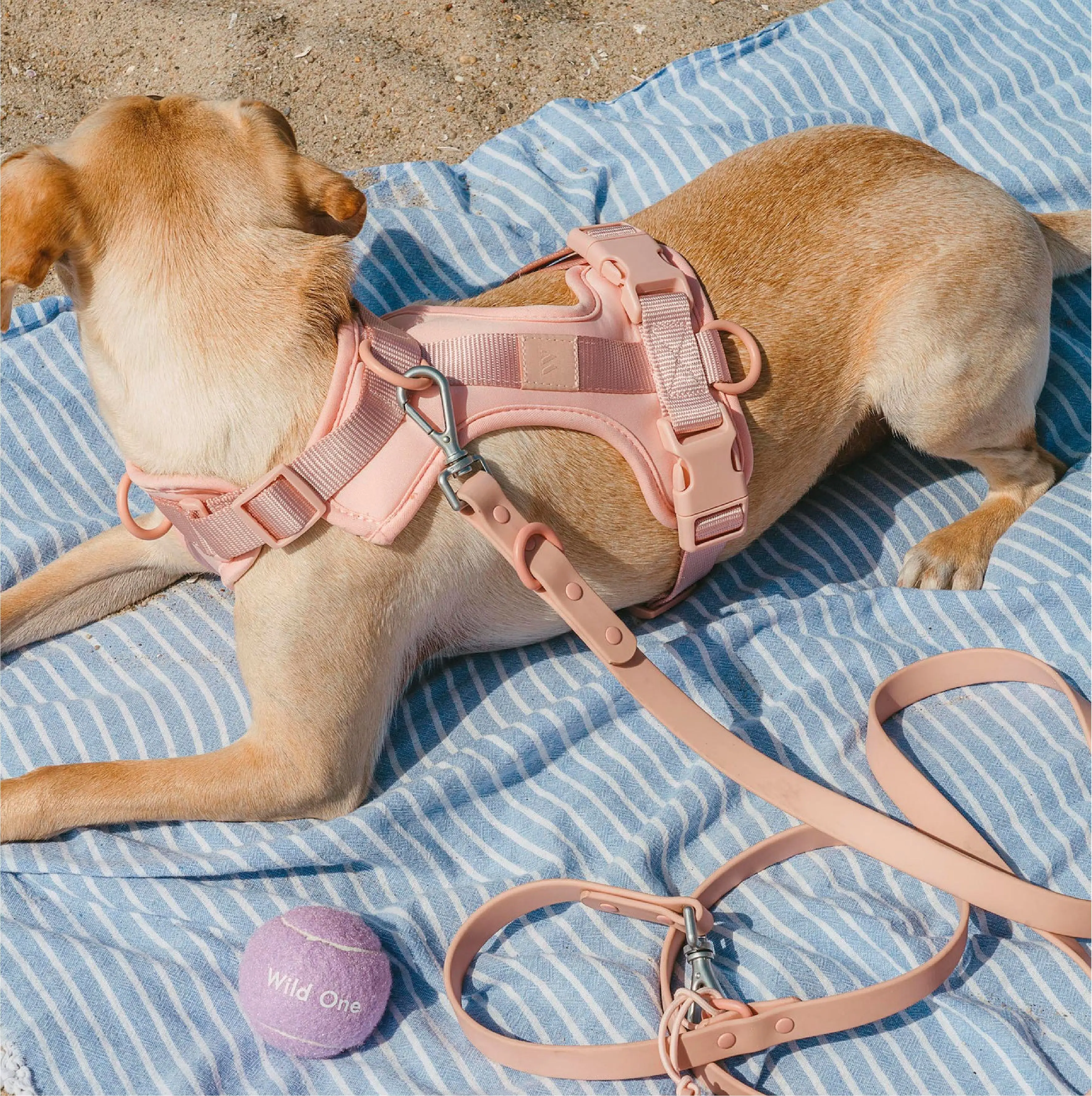 High Quality No Pull Dog Harness Low MOQ For Dog Outdoor Easy Walking