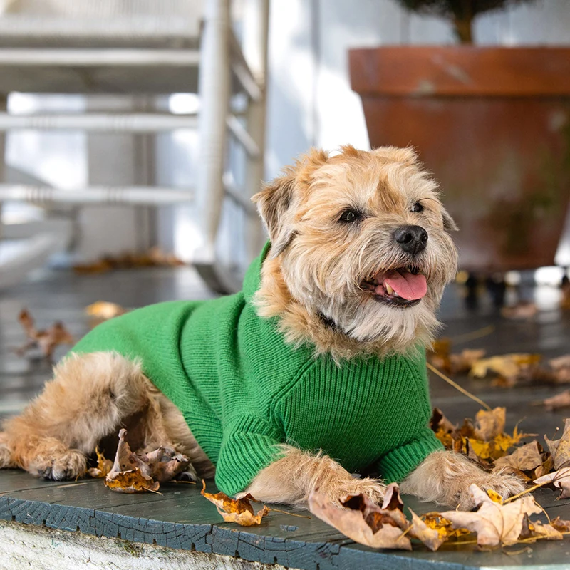 Fashion Free Knitting Pattern For Pet Dog Sweater Clothes