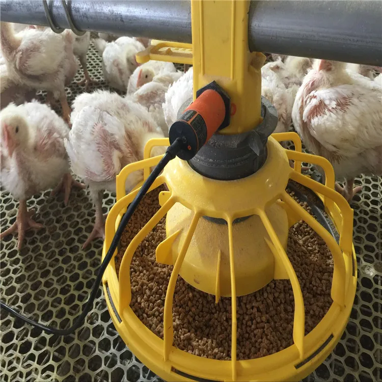 Poultry Farm equipment chicken automatic broiler pan feeding line
