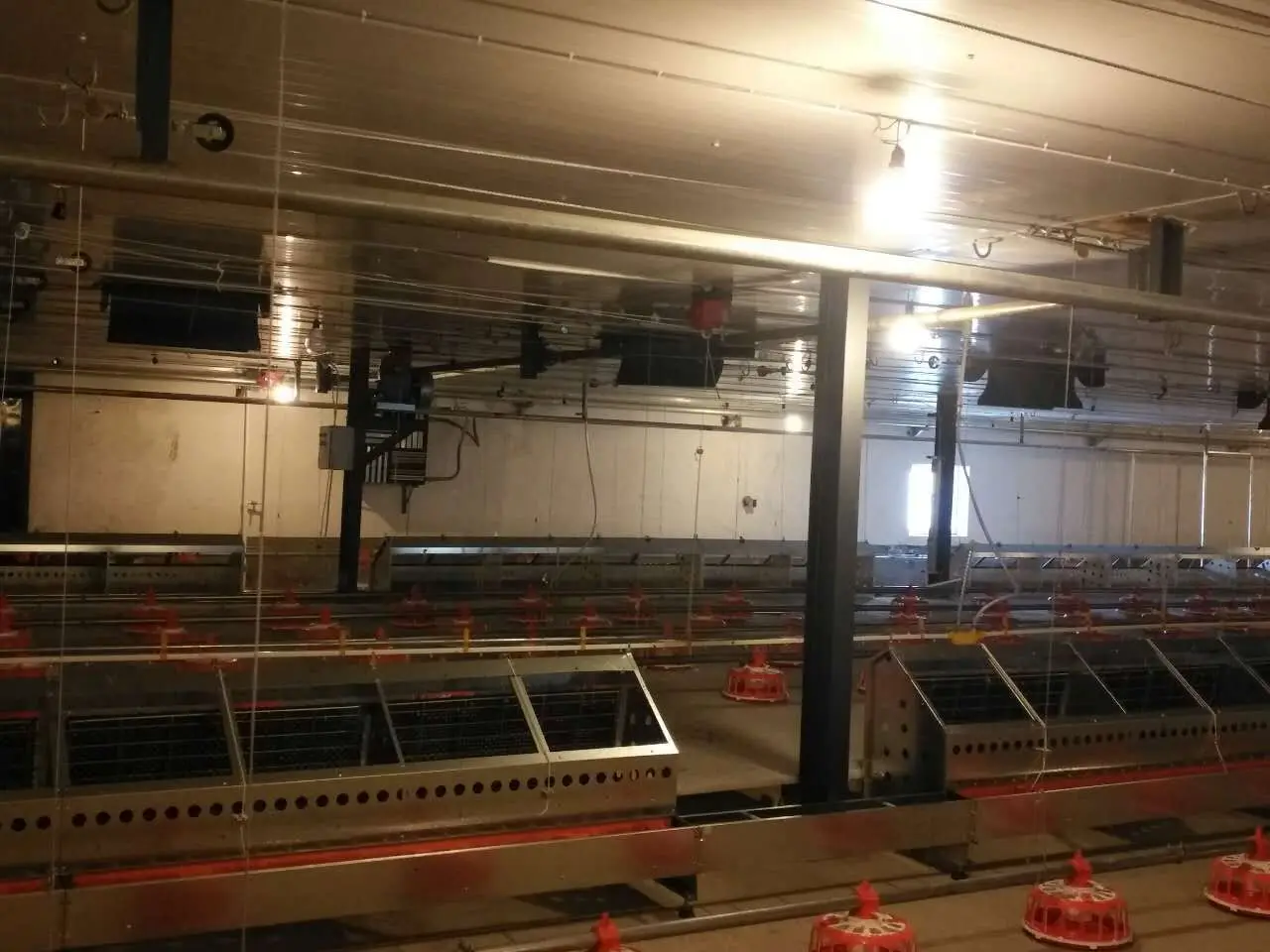 Poultry semi-automatic egg collection nest system for chicken farm