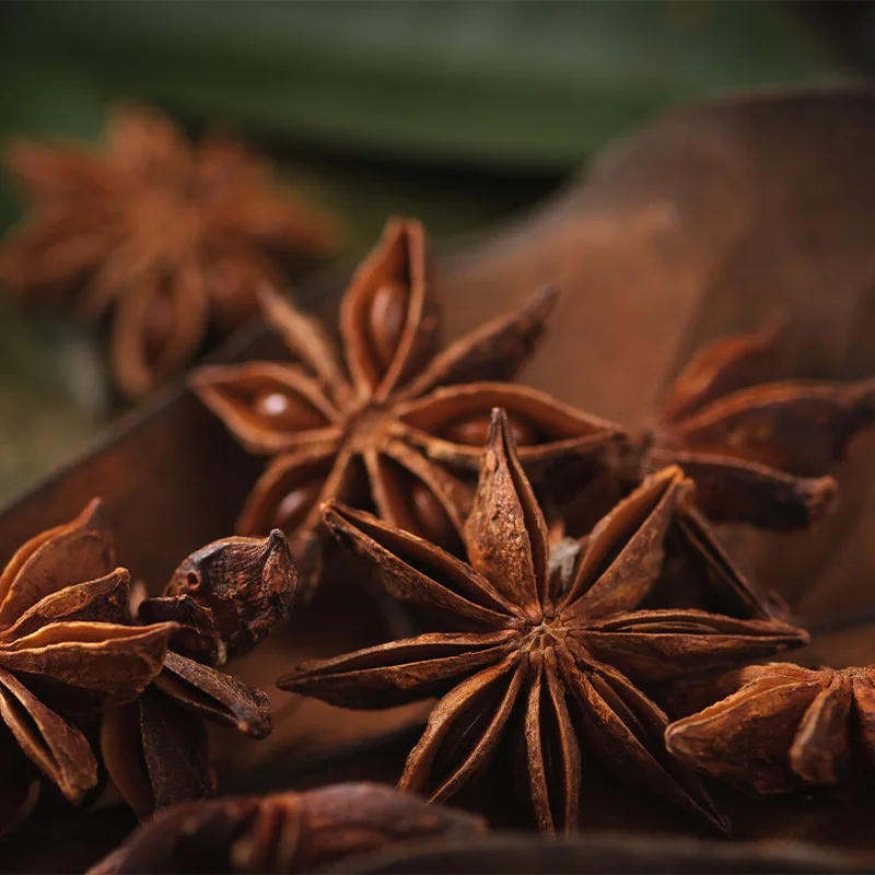 BXH High quality Guangxi dried 5 star anise flavoring, fennel seasoning star anise price , marinated meat stew star anise in chinese