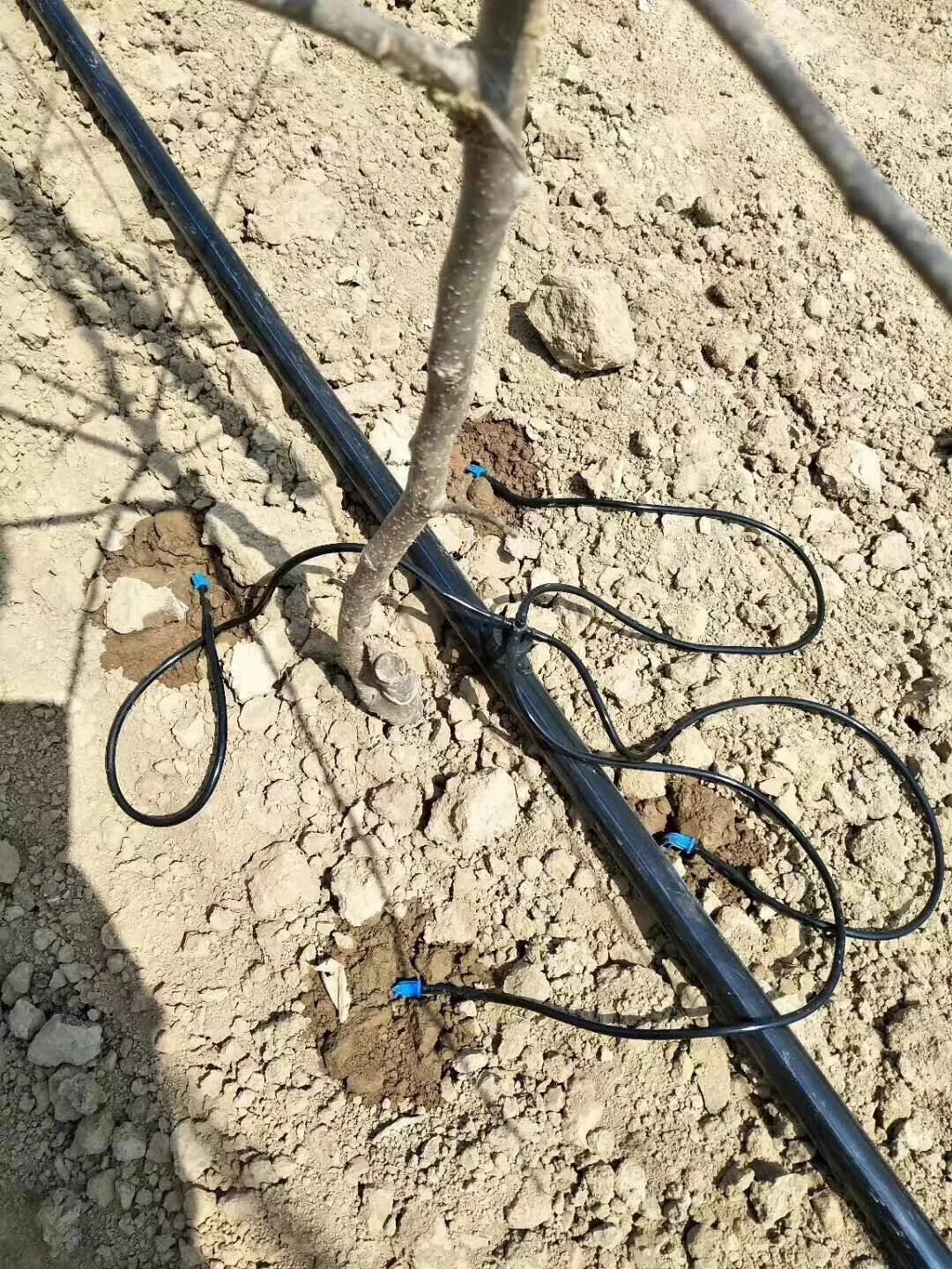 Commercial greenhouse irrigation system agricultural greenhouses drip irrigation set