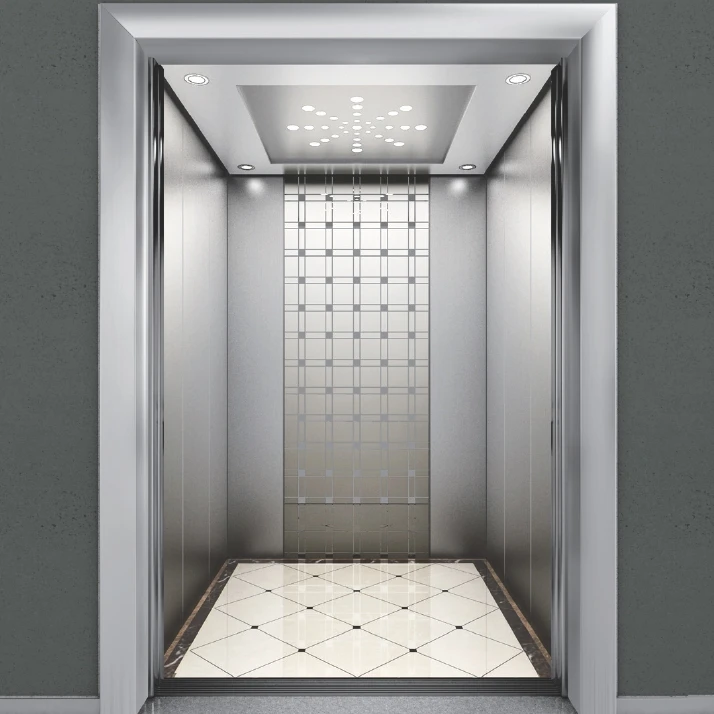 Syney Engergy and Space Saving 13 person 1000Kg Passenger Lift