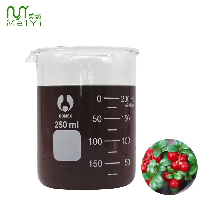 
Natural plant extractlarge fruitbilberry fruit extractcosmetic skin care raw material 