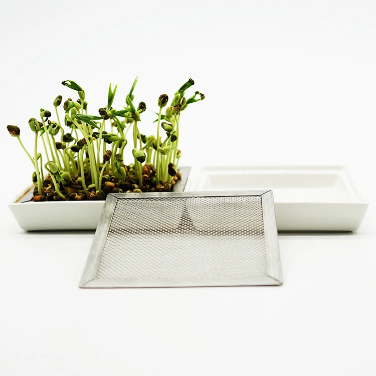 Custom Square Ceramic Tray Seedling Tray Plant Growing Microgreens Sprouting Seed Tray With Lid for Greenhouse Vegetable