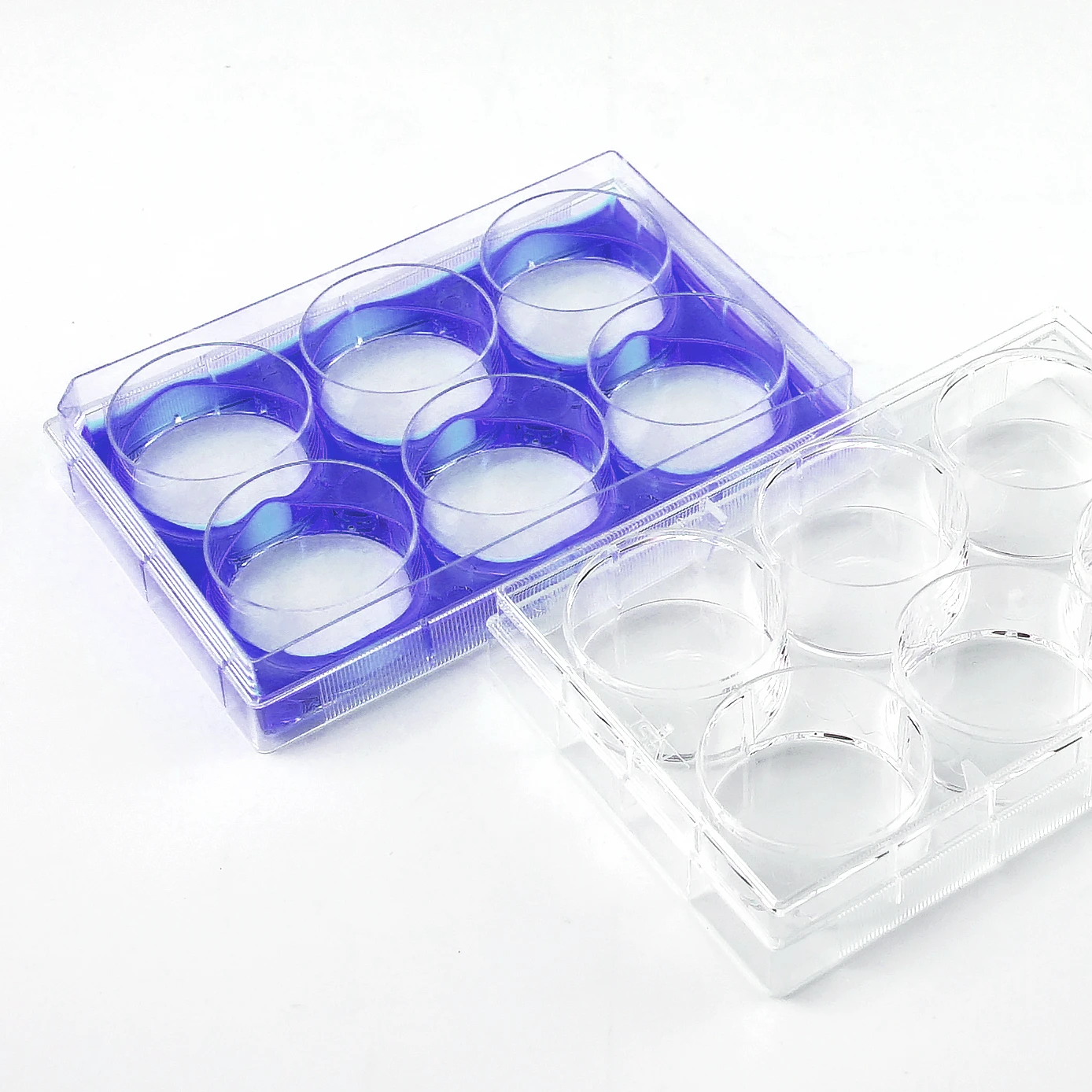 Factory Direct Lab Disposable 96 Well EDGE Cell Culture Plates