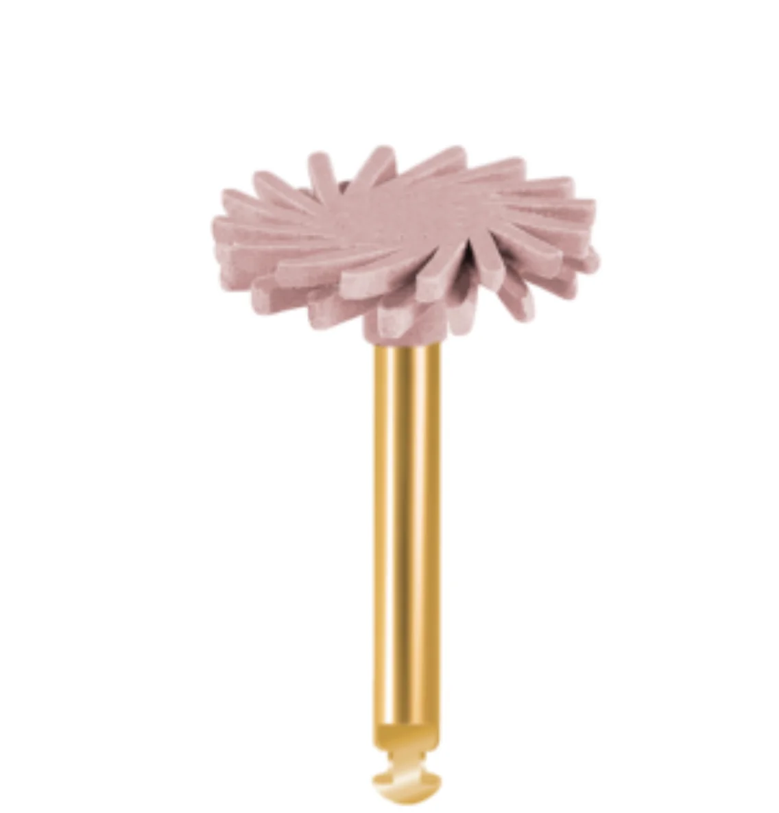 Dental Polishing Heads 3D Printing Hybrid Material Dental Polishing Tool EVE DT-DCP-14m/EVE DT-DCP-14f