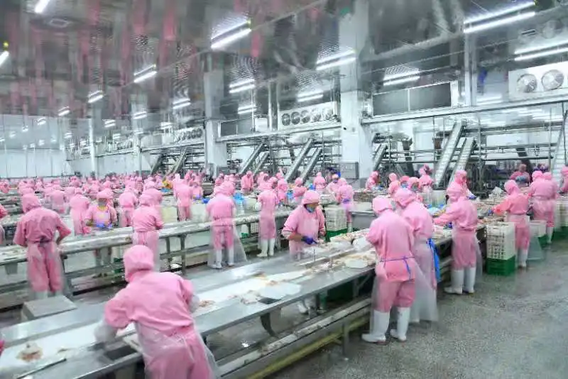 Spin chiller slaughtering abattoir chicken poultry equipment