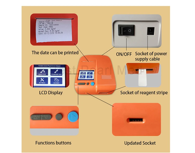 BPM-Q10 Veterinary Test Machine Canine Progesteron Analyzer Dog Pregnancy Detector