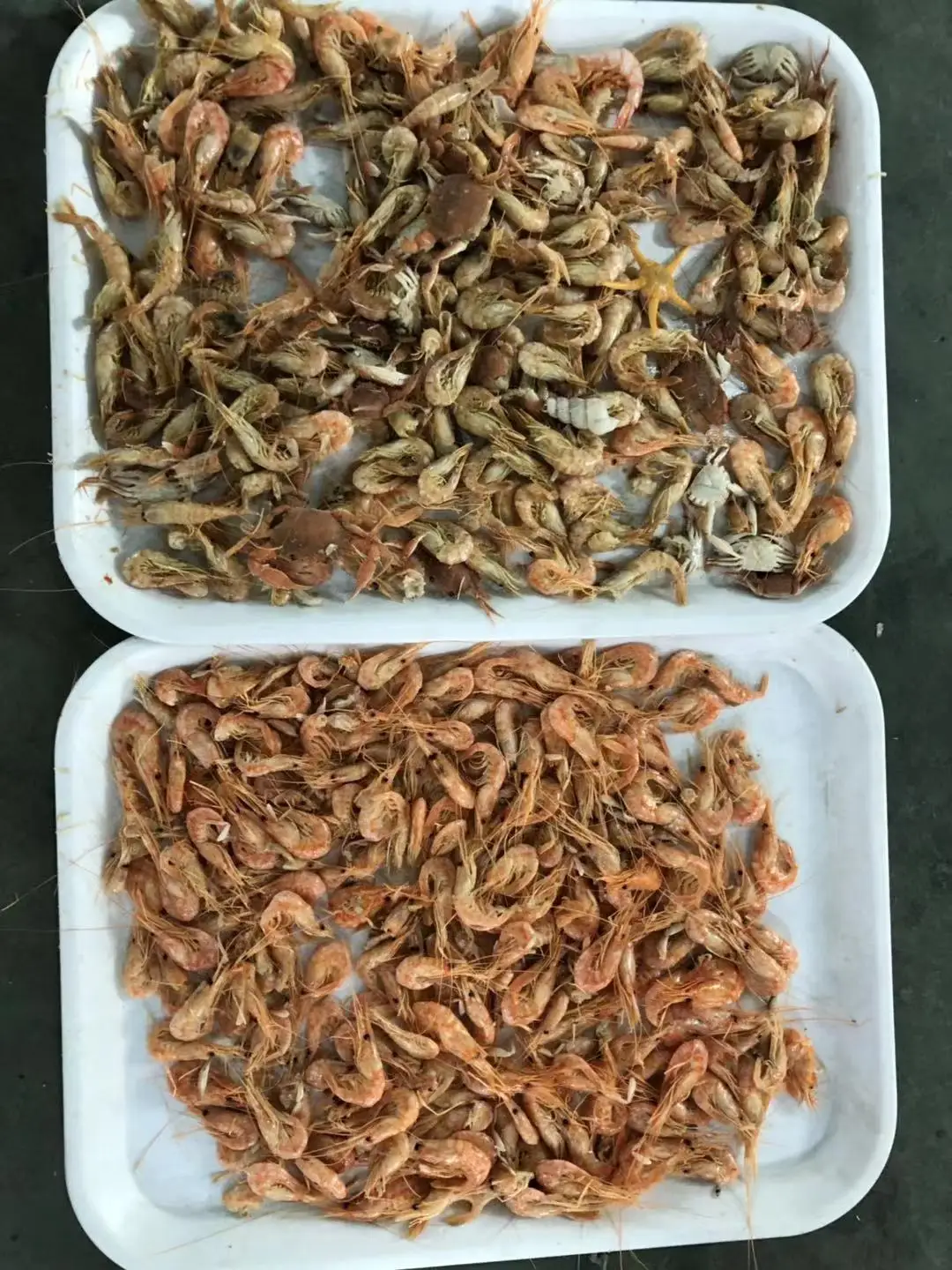 Colour rice sorter peas beans Chickpea grain Sorting Machine Optical color Sorter grain separator Chinese Manufacturer