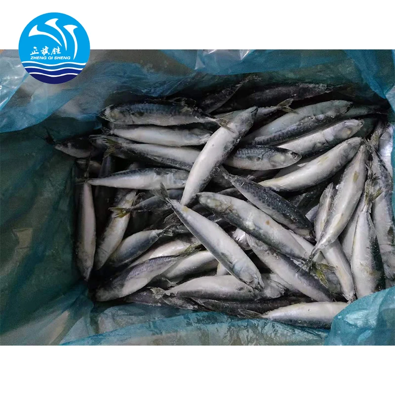 frozen mackerel fish pacific suppliers mackerel best price