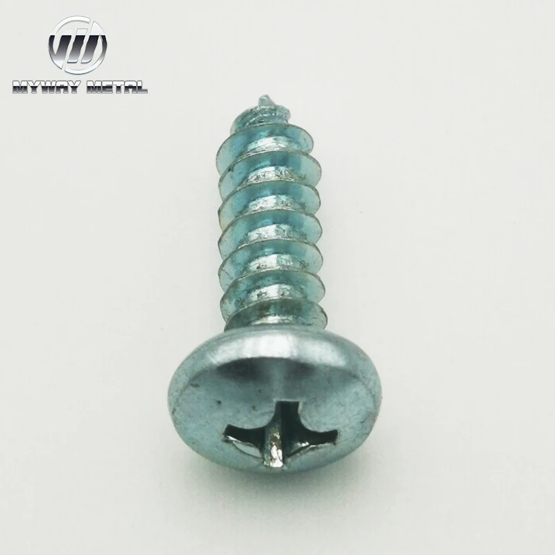 Customized screw fastener stainless steel self tapping screws metal screw