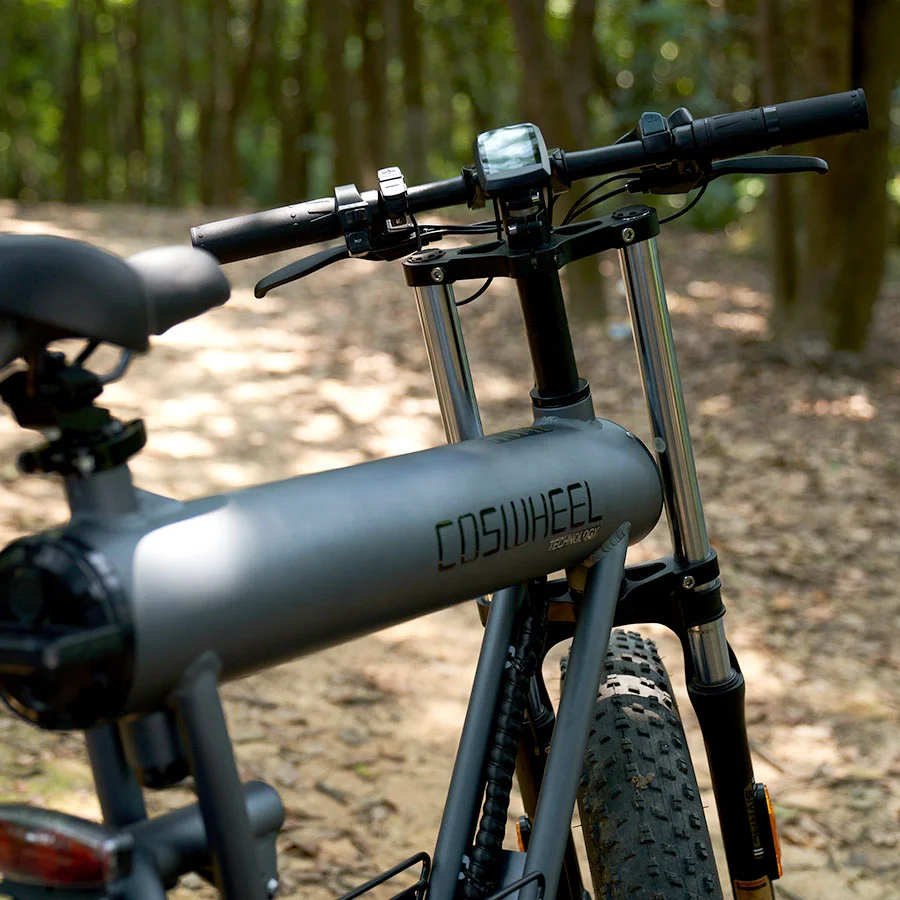 Factory Direct Sale Ebike Usa Eu Uk Warehouse In Stock Wholesale 20Inch Fat Tire E-bike Coswheel T20 48V 1000W Mountain E Bike