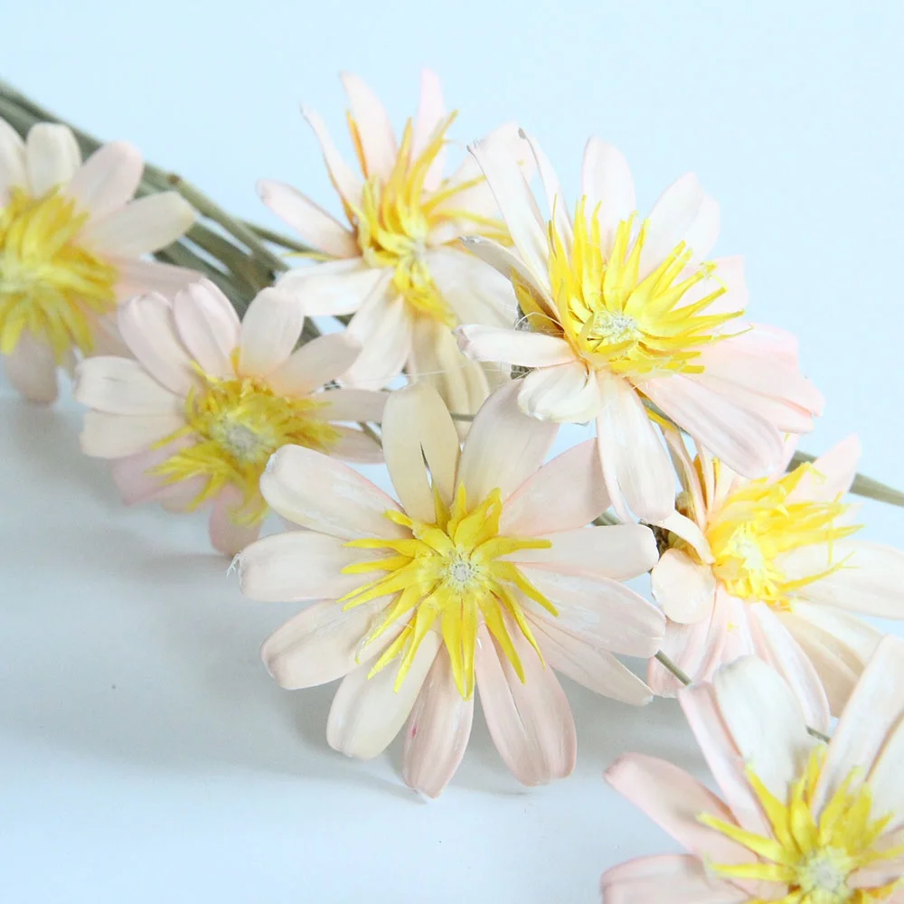 Primary Source Wholesale Dried Handmade Melon Seed Pericarp Flower The Third Genrnation For Home Decor Event & Party Supplies