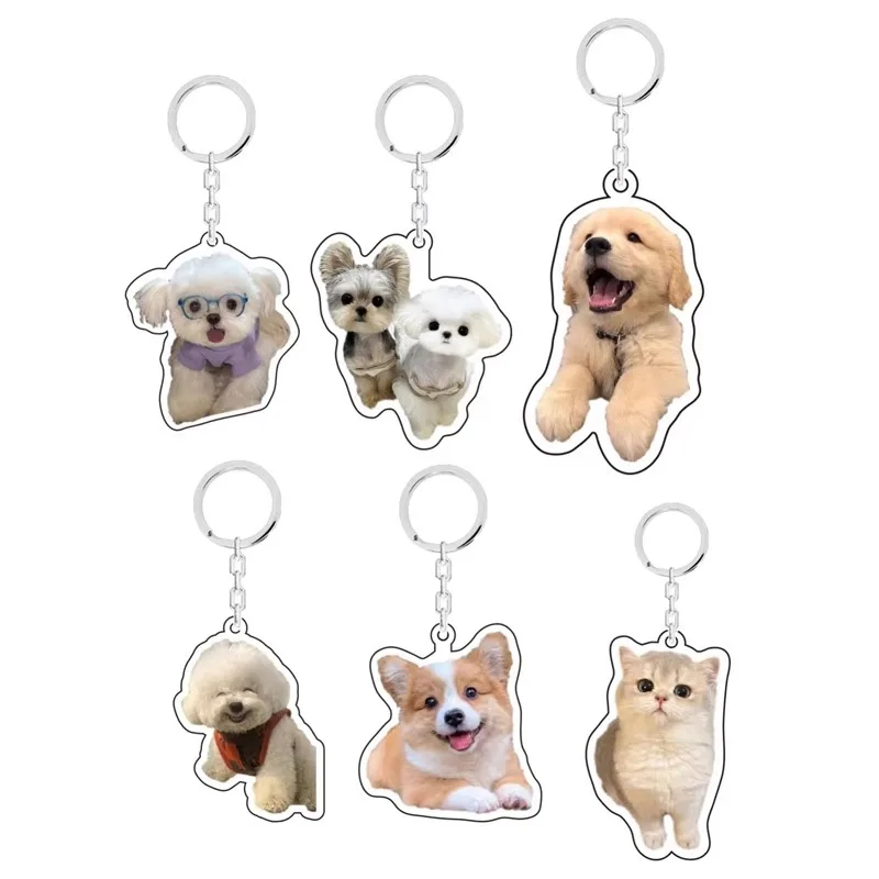 Acrylic keychain custom cute wind pet cat dog diy chain photo pendant trend fashion gift