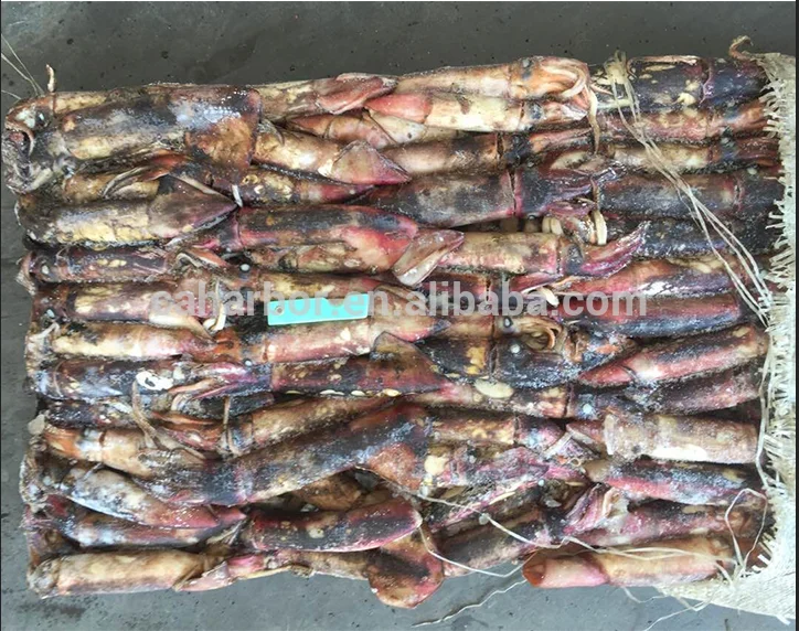 Great quality new catching frozen squid black skin squid ink for cooking for market