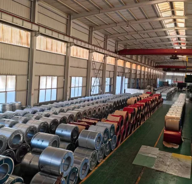 Hot Dipped Galvanized Steel Coil Galvanised Gi Steel Coil Sheet