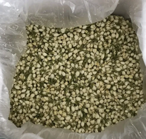 Wholesales BAIXIANGHUI High Grade Jasmine Tea Flower Tea for Beauty Slimming Chinese green Jasmine buds tea for sales