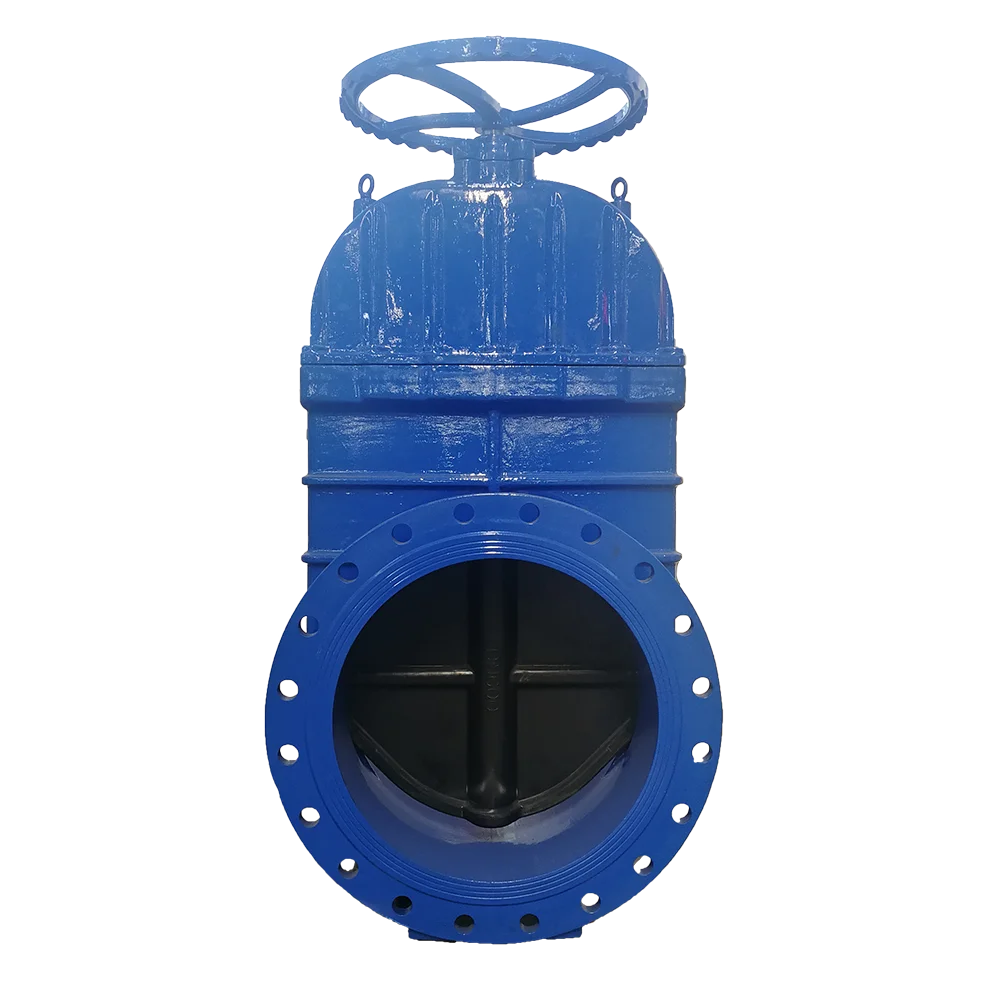 Z45X-16Q DN600  Flange connection Ductile cast iron Manual Non-rising stem gate valves