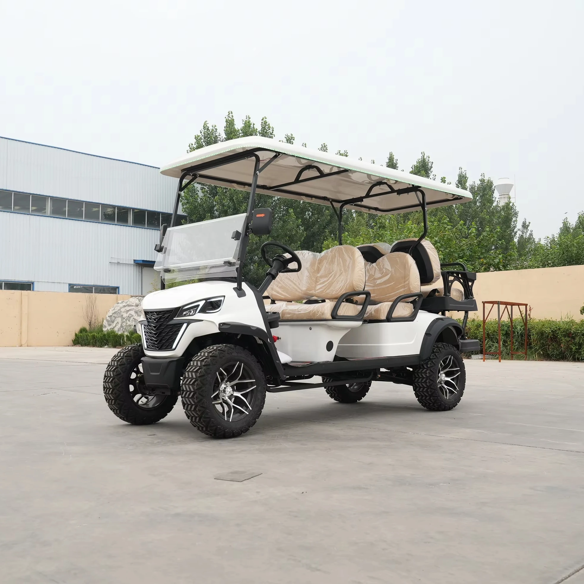 Beemotor Chinese Stand Up Goft Carts Electric golf cart with remote control