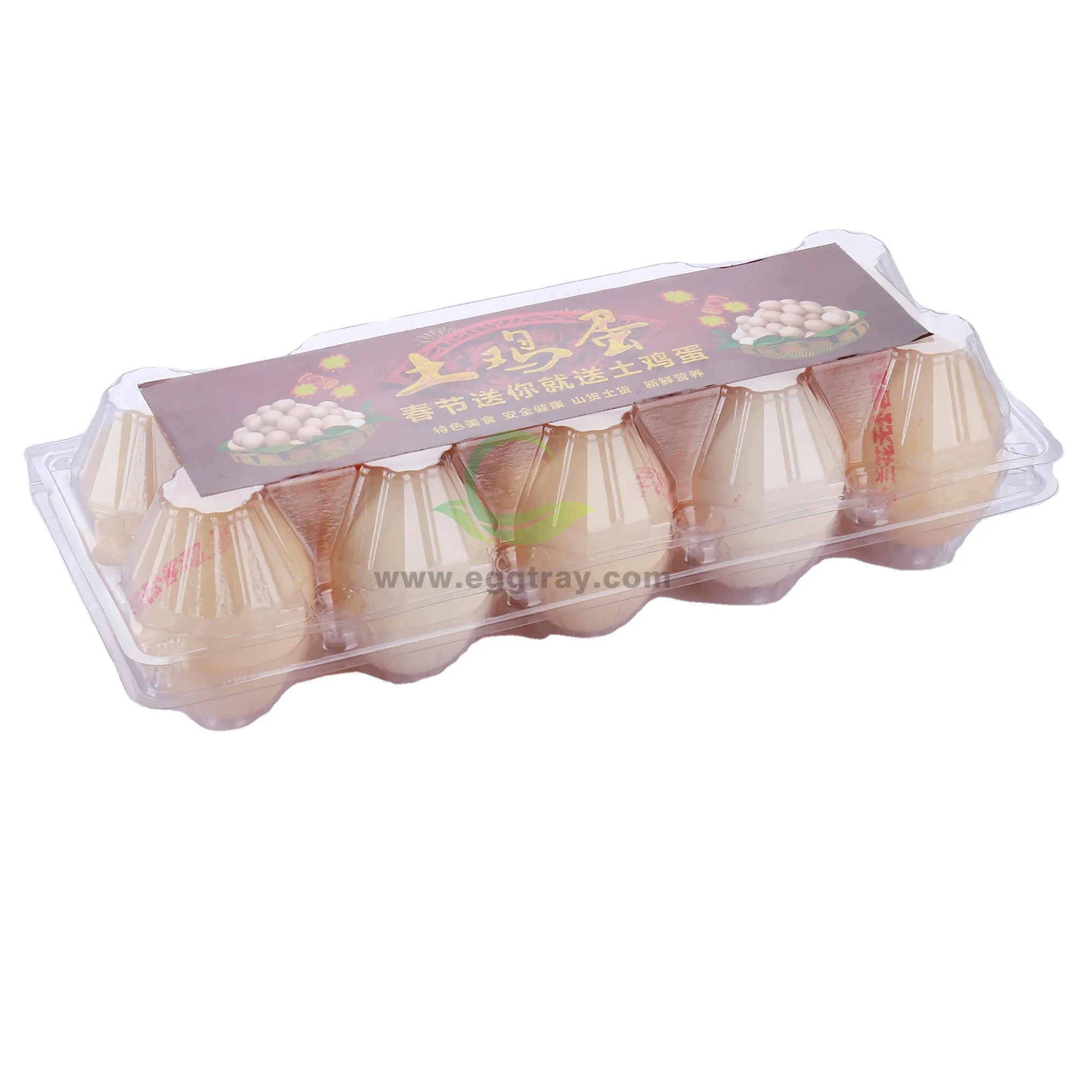 10 cell of plastic transparent disposable Wholesale environment-friendly PET egg trays factory price for supermarket