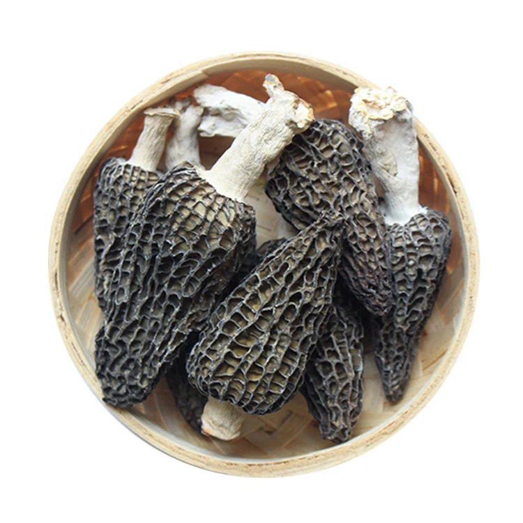 High Quality Wholesale Fresh Mushrooms Dried Morels Price Dry Morel Mushroom